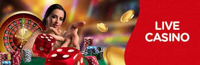 svip club Terms & Conditions for svip club Pakistan